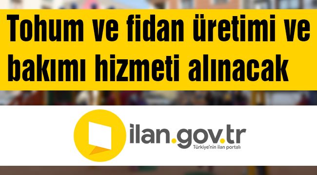 Tohum ve fidan üretimi ve bakımı hizmeti alınacak