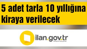 5 adet tarla 10 yıllığına kiraya verilecek 