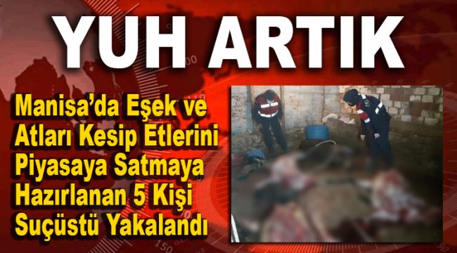 EŞEK VE ATLARI KESİP ETLERİNİ PİYASAYA SATMAYA HAZIRLANAN 5 KİŞİ SUÇÜSTÜ YAKALANDI