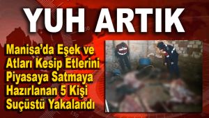 EŞEK VE ATLARI KESİP ETLERİNİ PİYASAYA SATMAYA HAZIRLANAN 5 KİŞİ SUÇÜSTÜ YAKALANDI