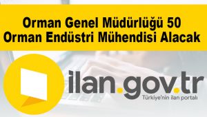 Orman Genel Müdürlüğü 50 Orman Endüstri Mühendisi Alacak