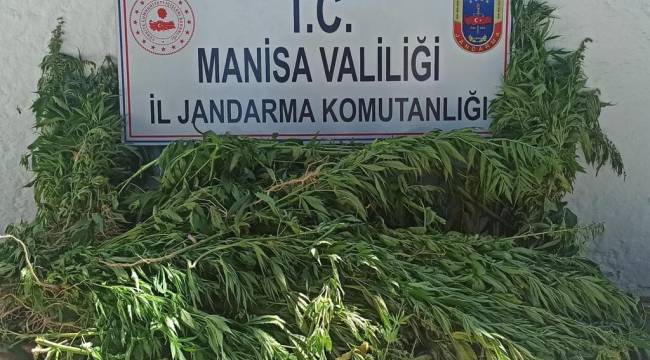 Manisa'da Uyuşturucu Operasyonu