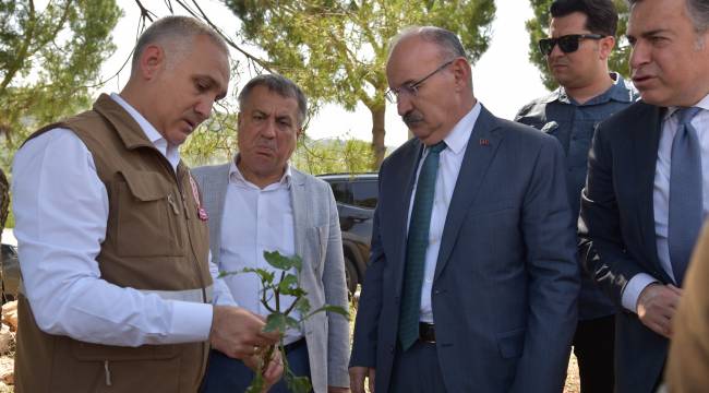 Vali Karadeniz, Aşırı Yağış ve Doludan Zarar Gören Tarım Arazilerinde İncelemelerde Bulundu