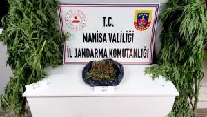 Jandarma'da Manisada uyuşturucu operasyonu