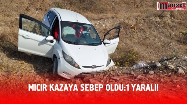 MICIR KAZAYA SEBEP OLDU:1 YARALI!