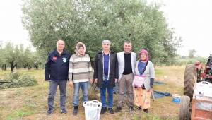 Büyükşehir’den Turgutlu’da ki Zeytin Emekçilerine Koruyucu Malzeme desteği  