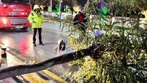   Büyükşehir ve MASKİ, Sağanak Yağış Boyunca Sahadaydı