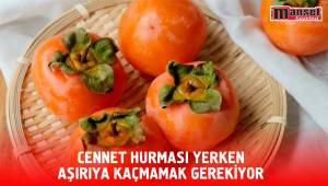 CENNET HURMASI YERKEN AŞIRIYA KAÇMAMAK GEREKİYOR