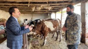 CHP'Lİ BAŞEVİRGEN “BESLENME SORUNU CİDDİ BOYUTLARA ULAŞACAK”