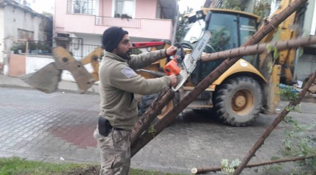 Turgutlu Belediyesi Ekiplerinden Devrilen Ağaçlara Anında Müdahale