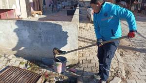 Yağmursuyu Izgaralarındaki Temizlik Çalışmaları Sürüyor