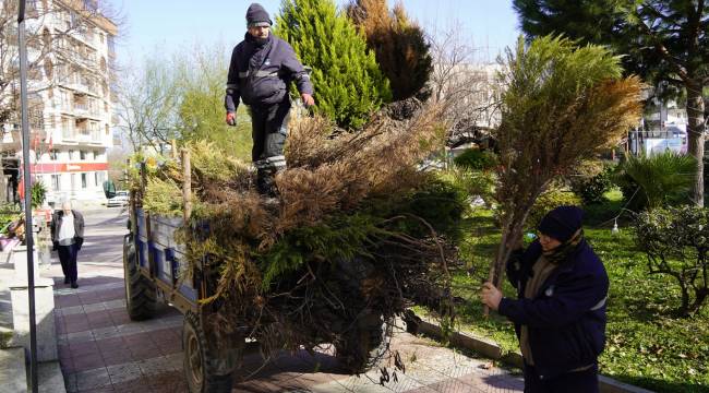 YUNUSEMRE’DE BUDANAN AĞAÇLAR EVLERİ ISITIYOR