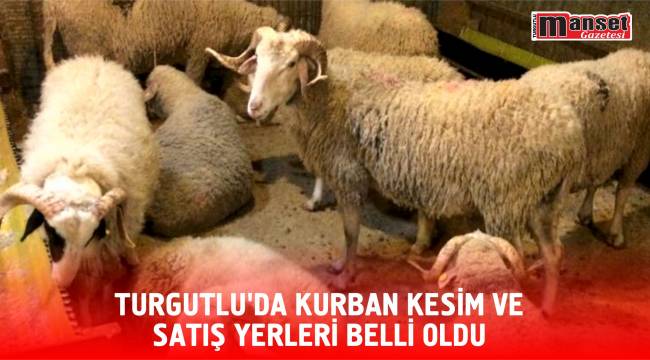 TURGUTLU'DA KURBAN KESİM VE SATIŞ YERLERİ BELLİ OLDU