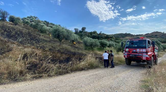 TURGUTLU'DA ORMANLIK ALANDA ÇIKAN YANGIN KORKUTTU