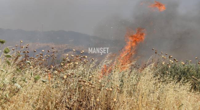 Turgutlu'da Makilik ve Otluk Alanda Yangın