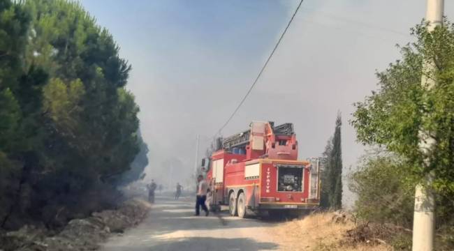 Büyükşehir, Soma’daki Orman Yangınının Söndürülmesi İçin Seferber