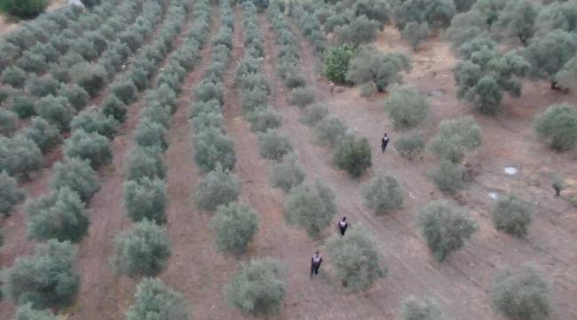 Manisa’da Jandarmadan Zehir Tacirlerine Operasyon