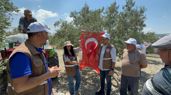 Manisa'da Zeytin Sineği'ne Karşı Biyoteknik Mücadele Kapsamında Tarla Günü Düzenlendi