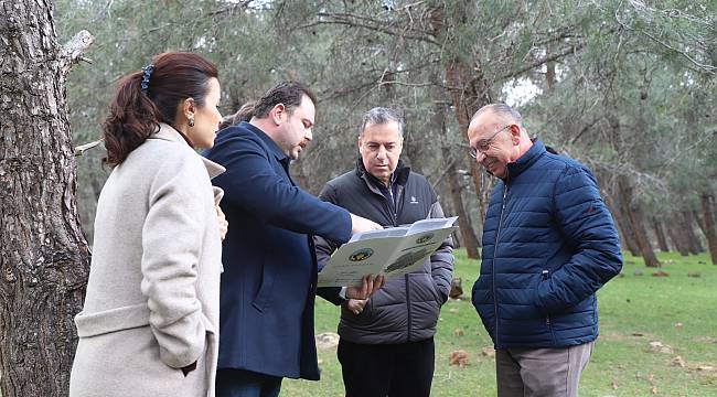 Turgutlu Belediyesi Sokak Hayvanları İçin Örnek Bir Proje Planlıyor