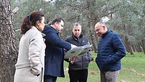 Turgutlu Belediyesi Sokak Hayvanları İçin Örnek Bir Proje Planlıyor